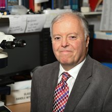 Professor Neil Shepherd