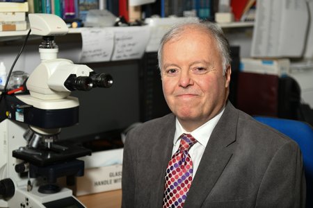 Professor Neil Shepherd